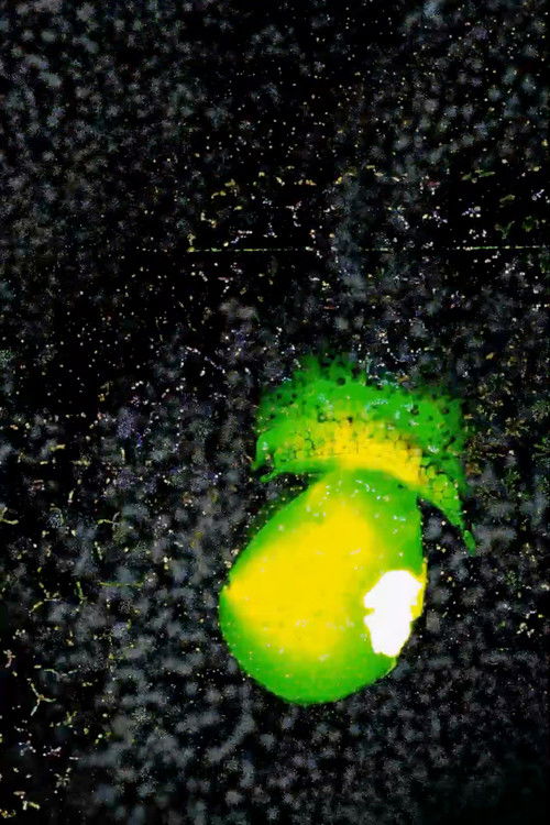 Amulet (2022) poster