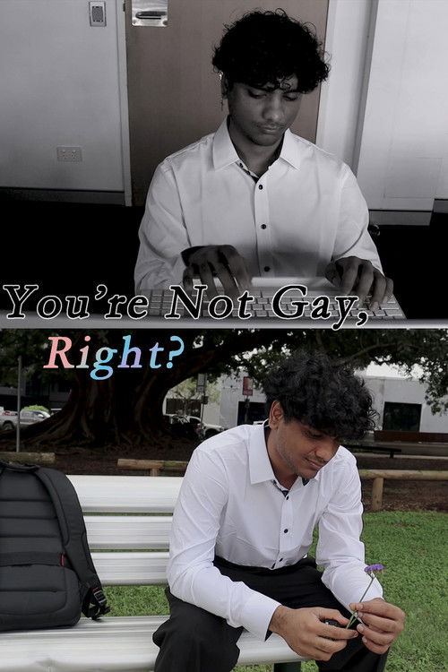 You're Not Gay, Right? (2024) poster