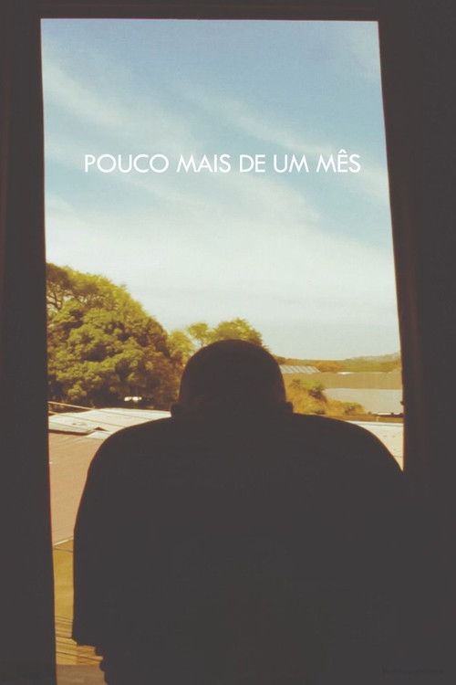 Pouco Mais de Um Mês (2013) poster