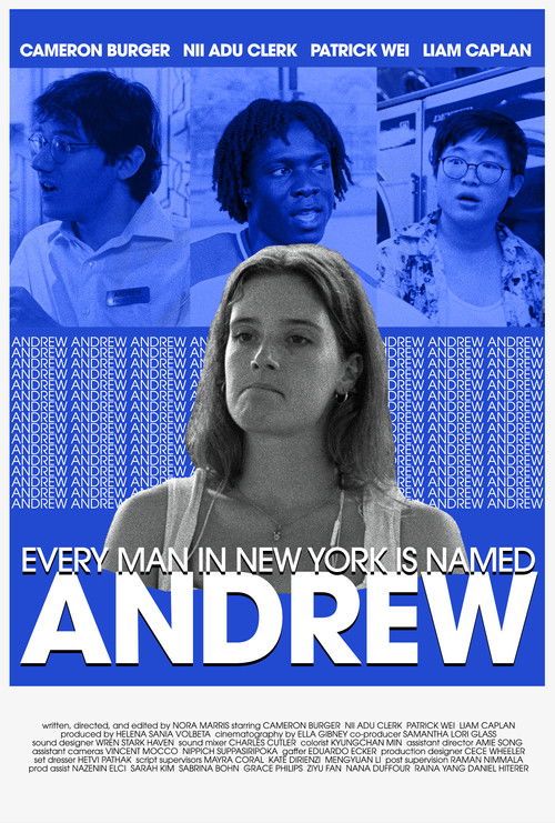 Every Man in New York Is Named Andrew (2025) poster