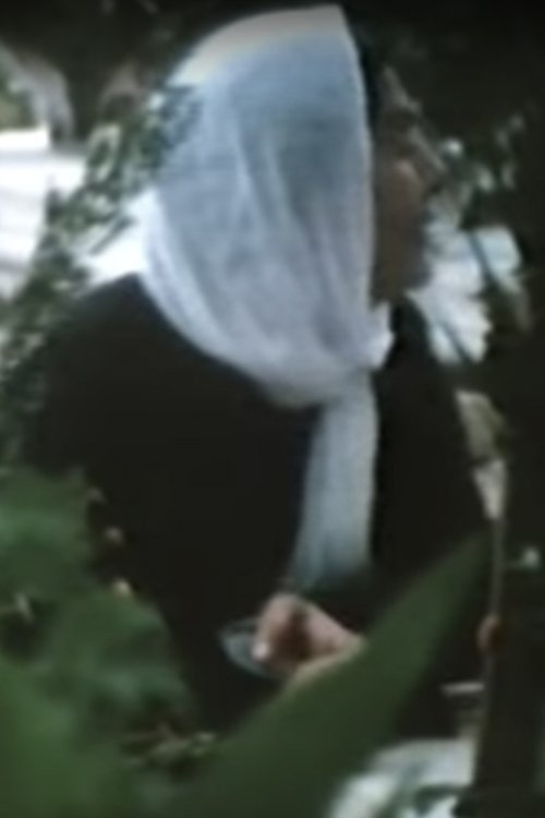 Assassination of a City (1977) poster