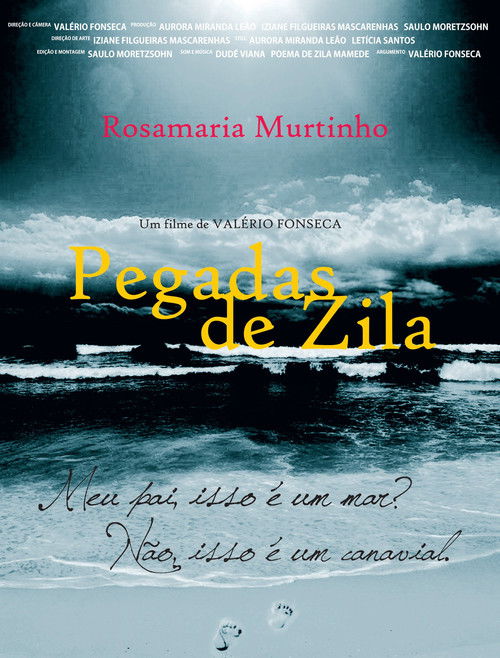 Pegadas de zila (2011) poster
