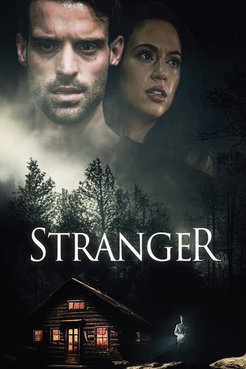 Stranger (2022) poster