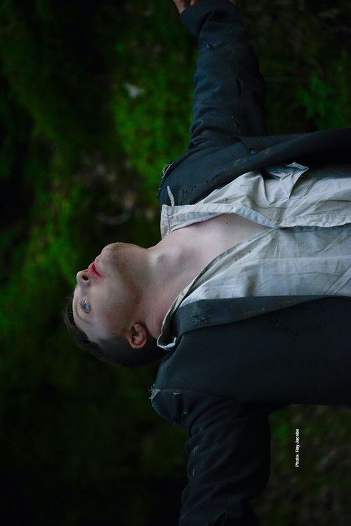 A Safe Place to Rest (2016) poster