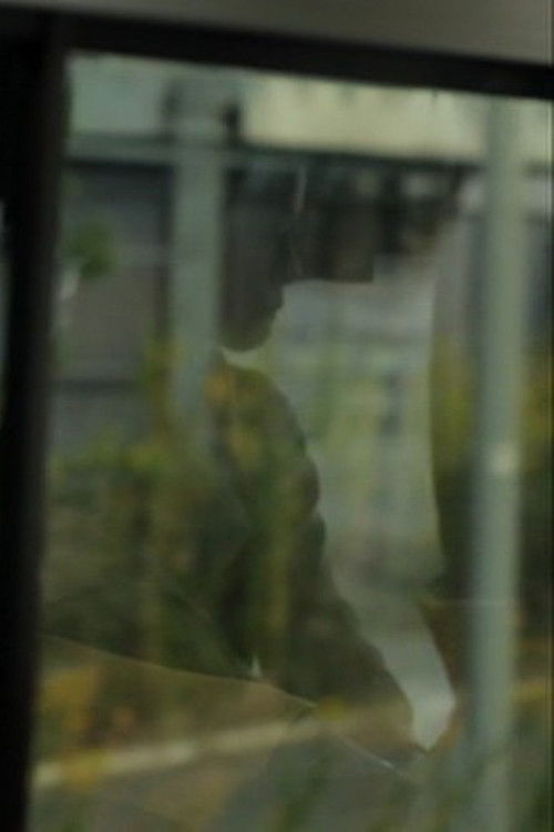 Panorama (2012) poster