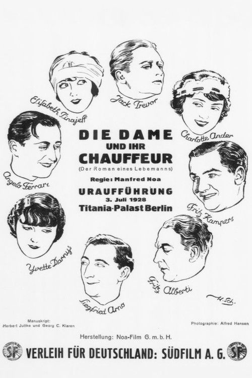 Die Dame und ihr Chauffeur (1928) poster