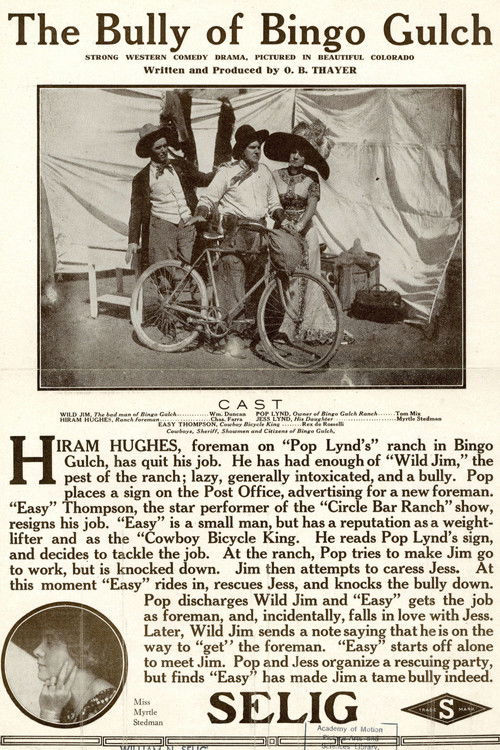 The Bully of Bingo Gulch (1911) poster