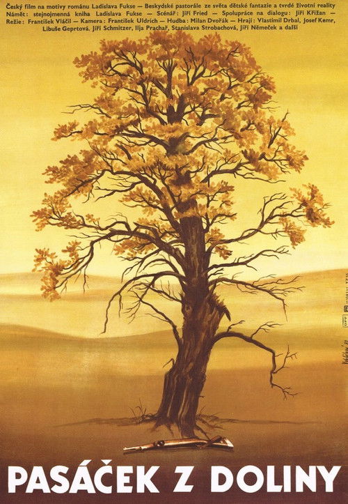 The Little Shepherd Boy from the Valley (1984) poster