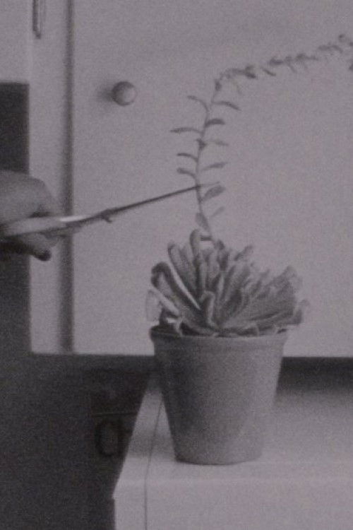 No Backsies (2020) poster