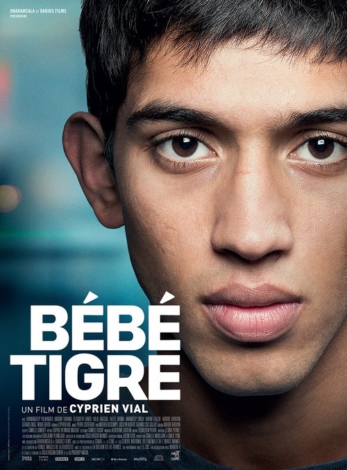 Young Tiger (2015) poster