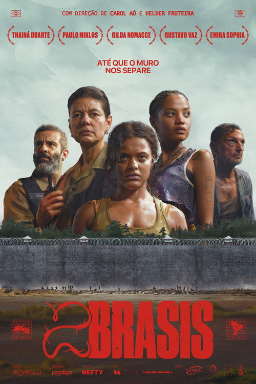 2Brasis (2024) poster