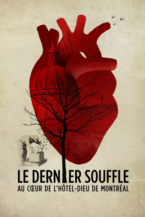 Le dernier souffle, au cœur de l'Hôtel-Dieu de Montréal (2017) poster