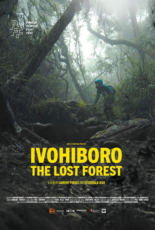 Ivohiboro: La Forêt Oubliée (2024) poster