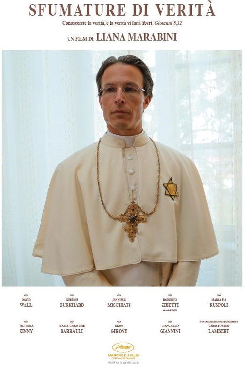 Sfumature di verità (2015) poster