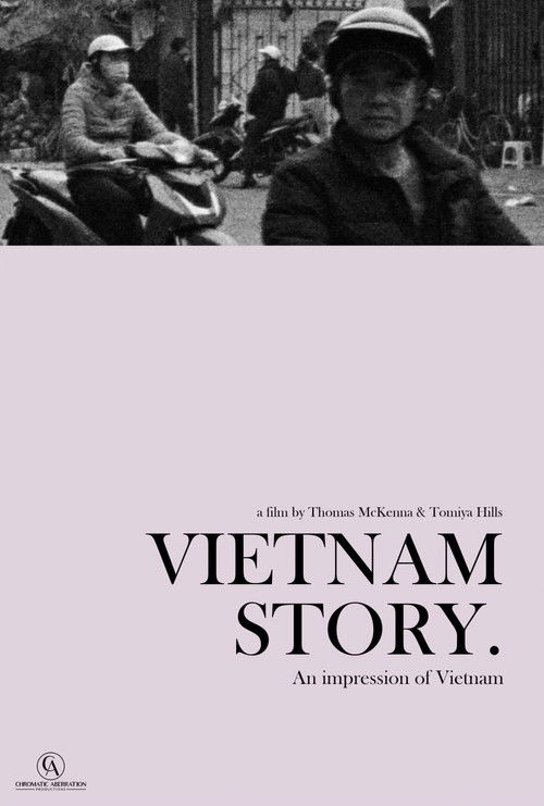 Vietnam Story poster