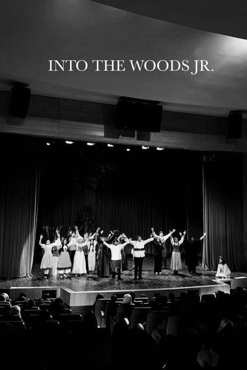 Into The Woods (AUS Productions) (2024) poster