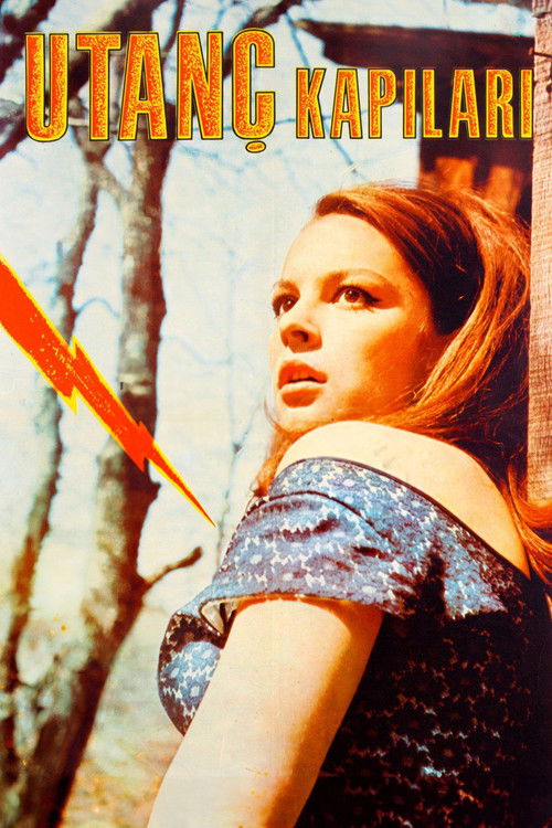 Utanç Kapıları (1967) poster