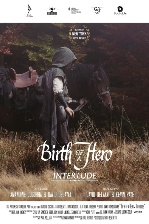 Birth of a Hero Interlude (2020) poster