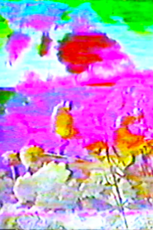 Plant Dreaming Deep (2017) poster