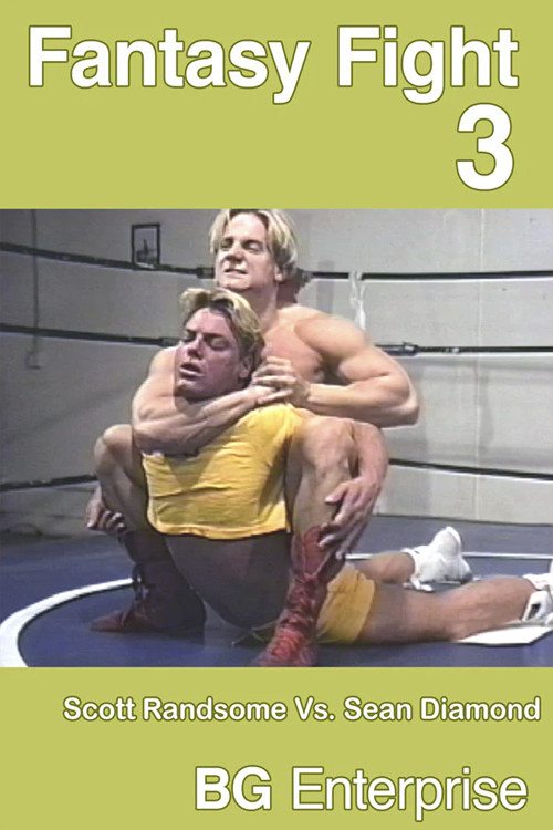 Fantasy Fight 3 (1995) poster