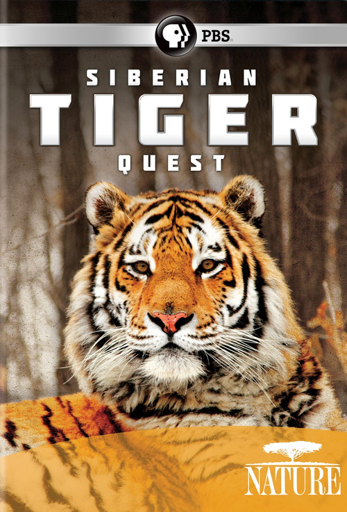 Siberian Tiger Quest (2012) poster