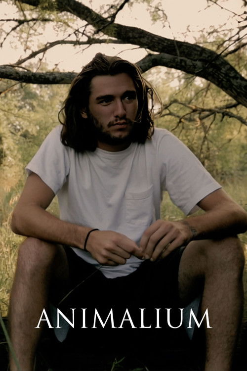 Animalium (2017) poster