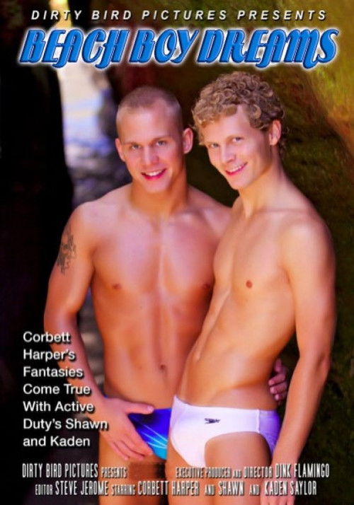Beach Boy Dreams (2010) poster