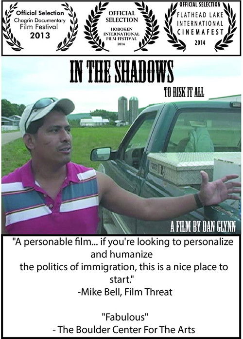 In the Shadows (2013) poster