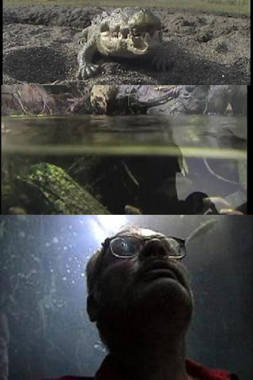 Aquatica (2000) poster