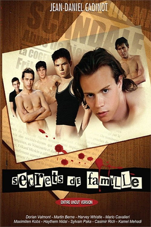 Secrets de famille (2004) poster
