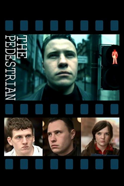 The Pedestrian (2011) poster