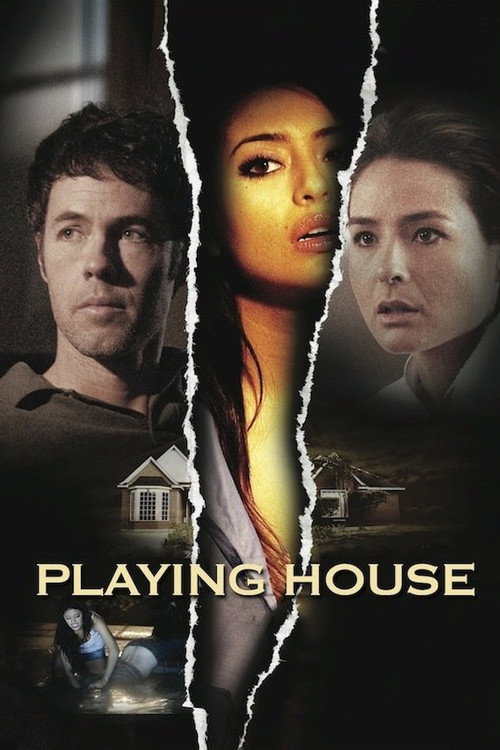 Evdeki Tehlike (2011) poster