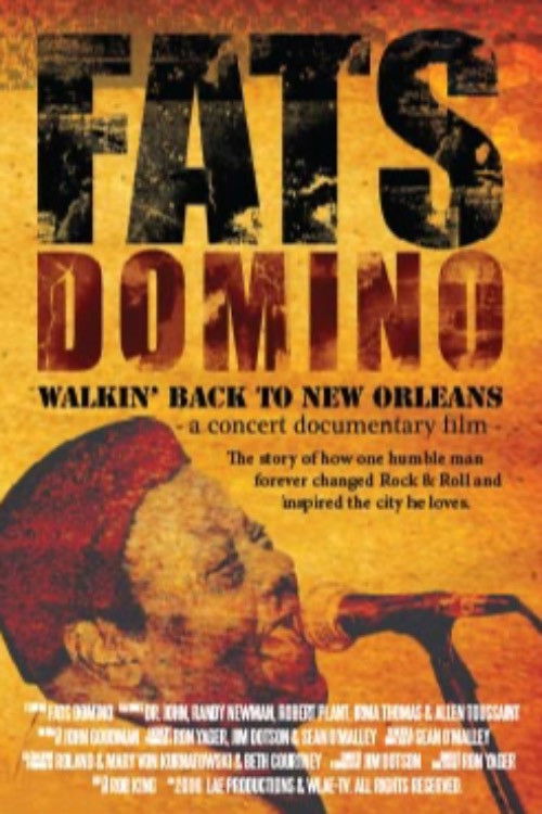 Fats Domino: Walkin' Back to New Orleans (2008) poster
