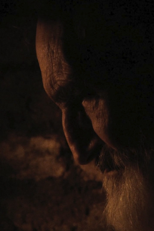 Resistance (2012) poster