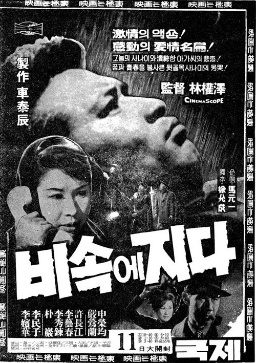 Fading in the Rain (1965) poster