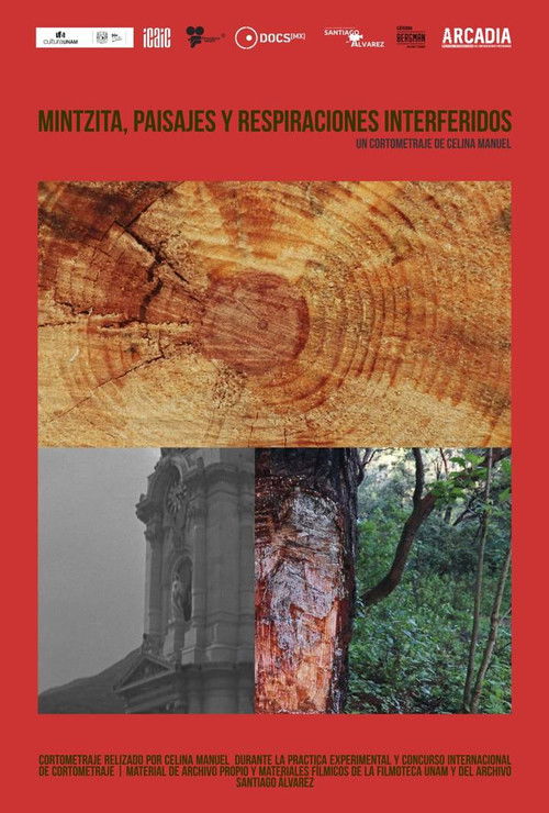 Mintsita, paisajes y respiraciones interferidos (2024) poster