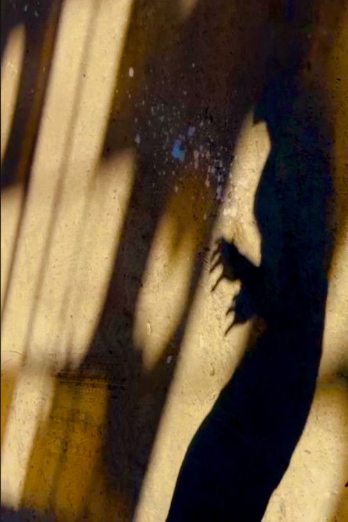 The Monster Part 2: Hunting the Hunted (2025) poster