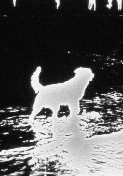 Waterfall (1968) poster