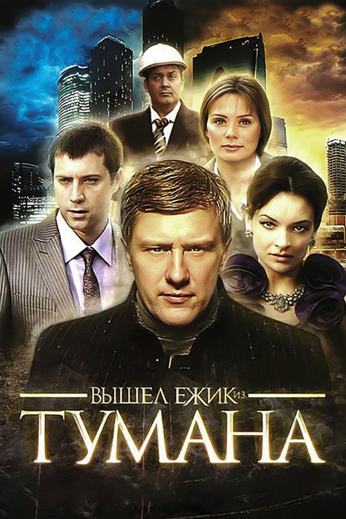 Вышел ёжик из тумана (2010) poster