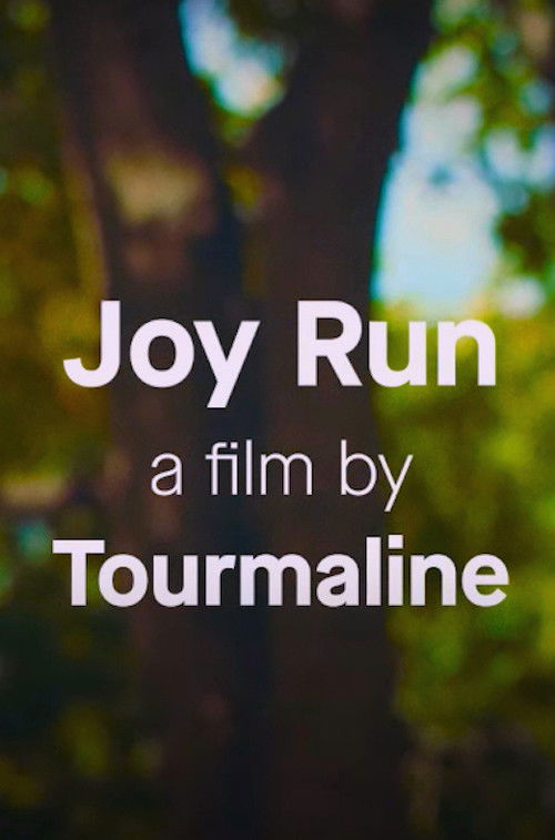 Joy Run (2020) poster