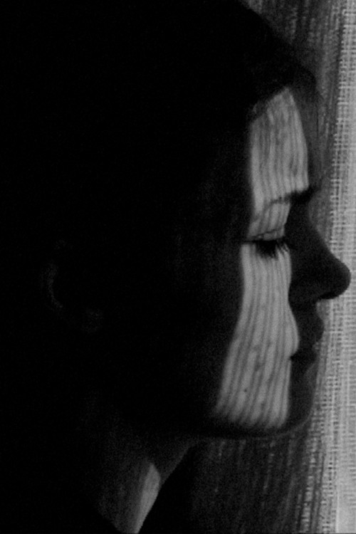 Detritus (2011) poster