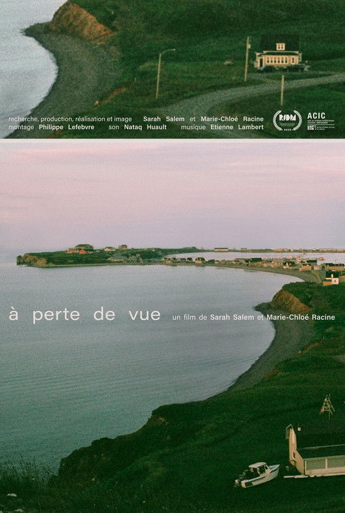 Vanishing Point (2020) poster