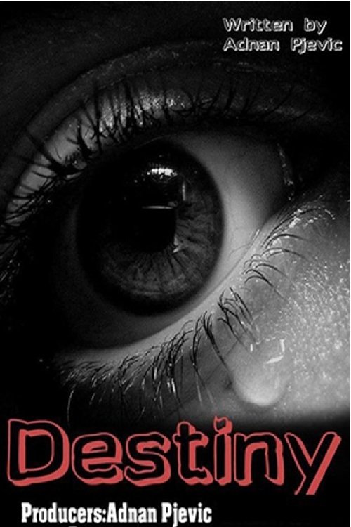 Destiny (2014) poster