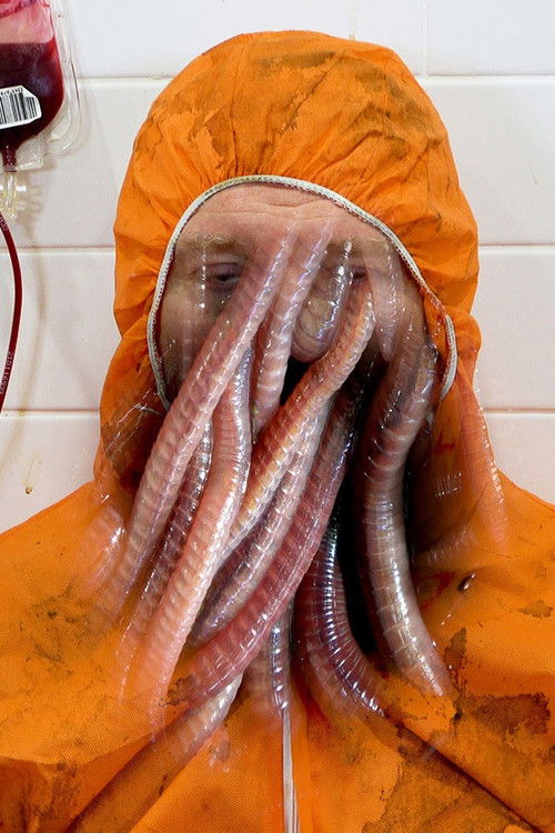 Worm Pornography (2024) poster