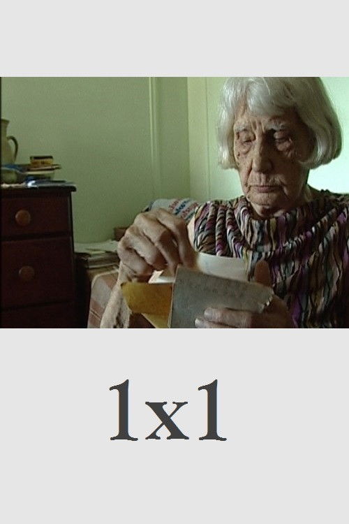 1x1 (2009) poster