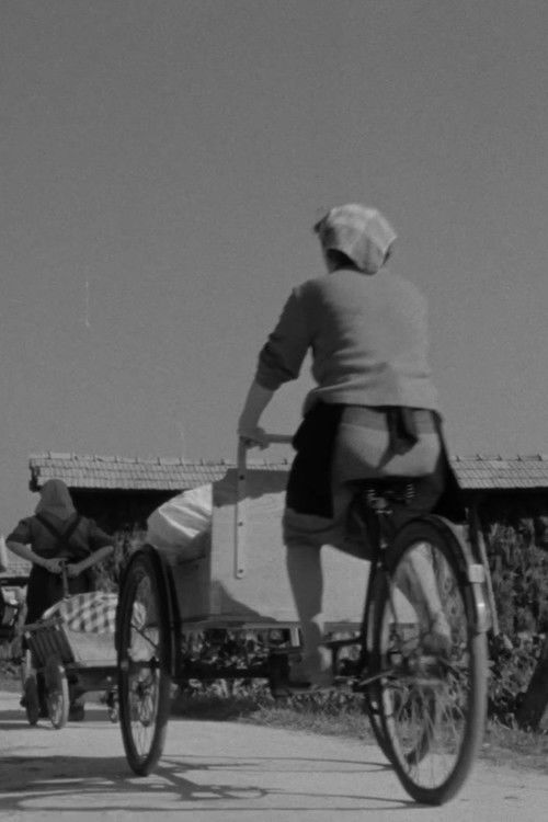 Laundresses from Bizovik (1959) poster