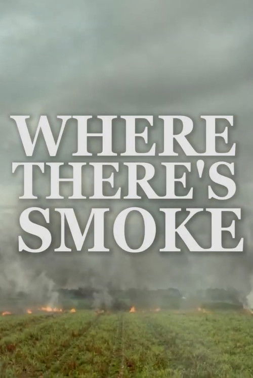 Where There’s Smoke (2023) poster