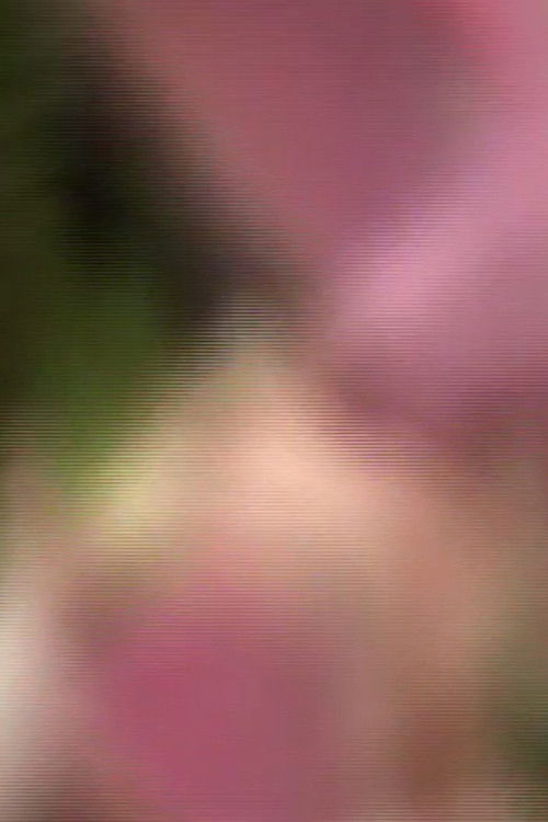 Valle Lindo (2025) poster