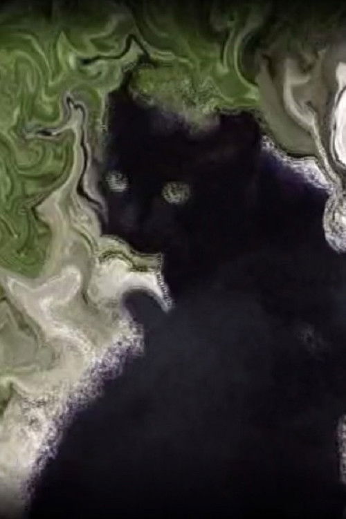 Cadenza (2005) poster