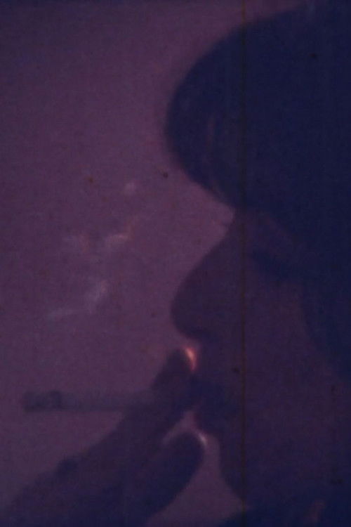 Anna’s Textures (1976) poster